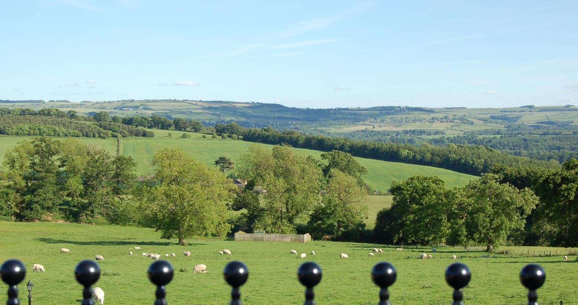 Duke Of Wellington Inn คอร์บริดจ์ ภายนอก รูปภาพ